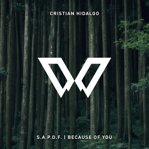 Cristian Hidalgo - S.A.P.D.F. - Because of You [DEEPWOODS0972]